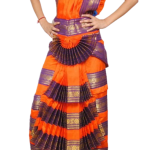 Bharatnatyam Dance Costume Archives - Shri Natarajan